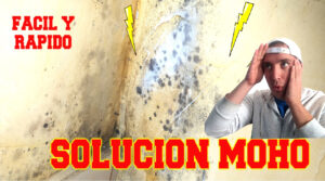 como quitar moho de la pared